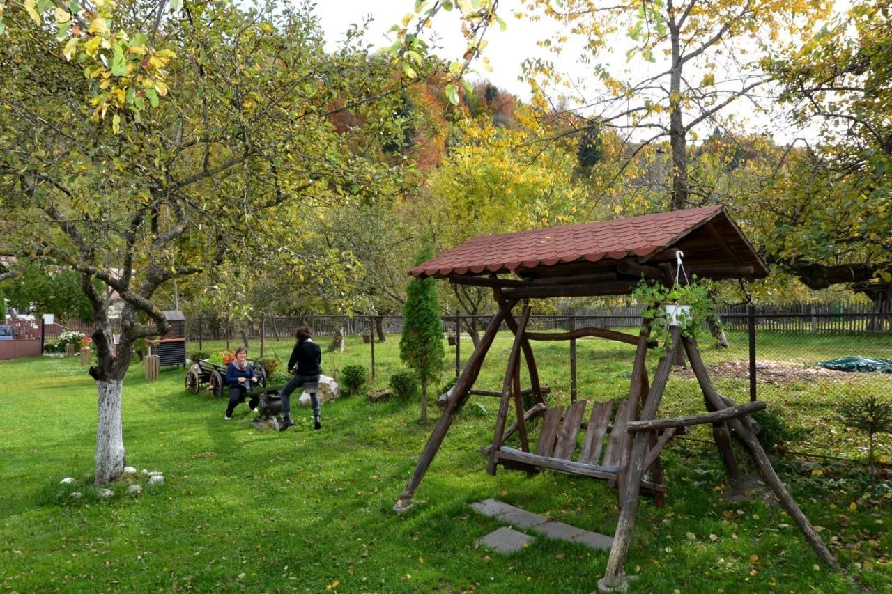 Гостевой дом Bucuria Muntelui Бран-38