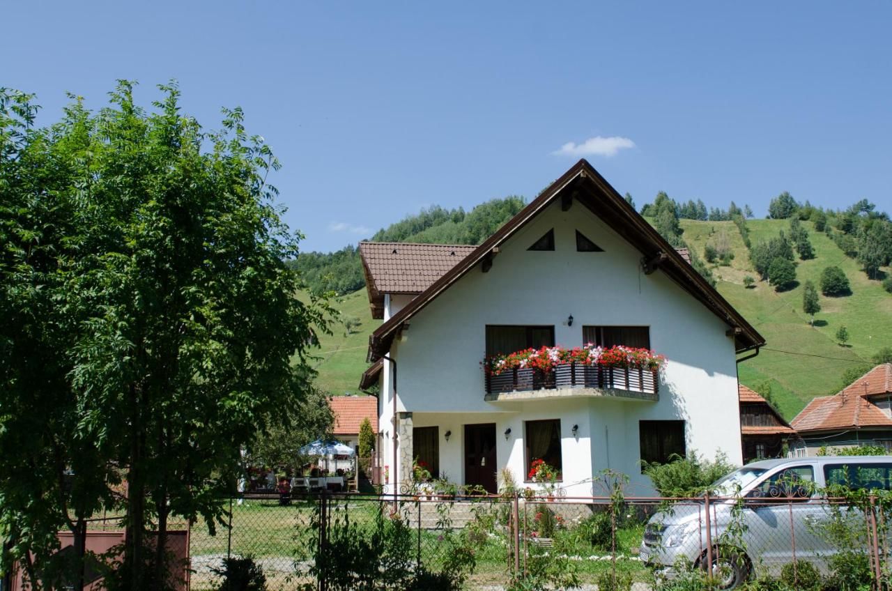 Гостевой дом Bucuria Muntelui Бран-40